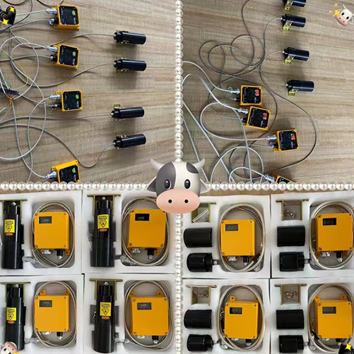 Optical fiber laser detector BG-TLD
