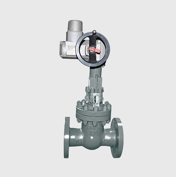 G600 Series Gate Valve